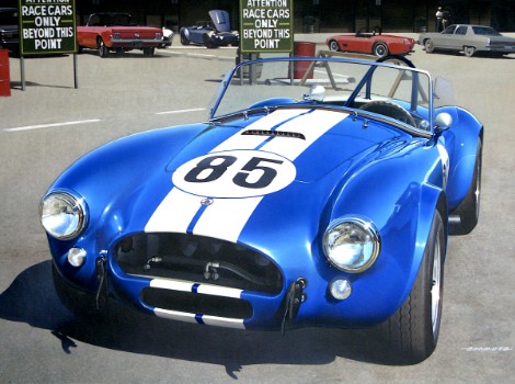 AC Cobra 289